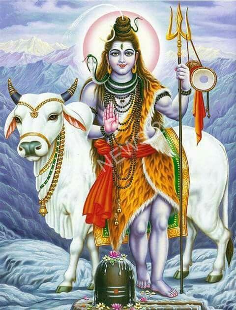 महादेव से आशीर्वाद चाहते हैं तो, सावन में नंदी पर जल चढ़ाकर करें बस ये उपाय - If you want blessings from mahadev, just do this remedy by offering water on nandi in sawan. 