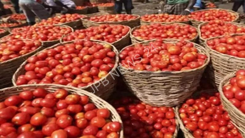 मध्य प्रदेश में टमाटर की कीमतों में गिरावट, कांग्रेस ने की एमएसपी घोषित करने की मांग - Tomato prices fall in madhya pradesh, Congress demands declaration of MSP